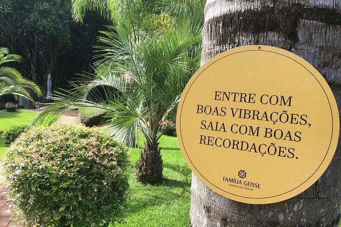 Private Tour Cave Geisse + 2 Wineries from Pinto Bandeira RS - The guide’s role and the human side of the outing