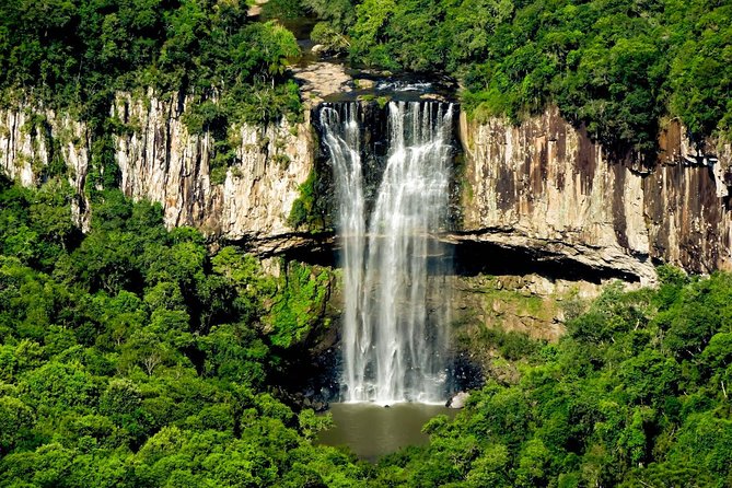 Private Tour Cave Geisse + 2 Wineries from Pinto Bandeira RS - Timing, fitness, and practical planning