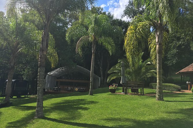 Private Tour Cave Geisse + 2 Wineries from Pinto Bandeira RS - Arriving in Pinto Bandeira