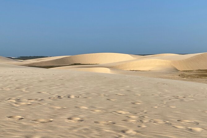 Private Tour - Full Island - Nature, beach and sea - Ecotour - Joaquina Beach: a focused eastern shore stop