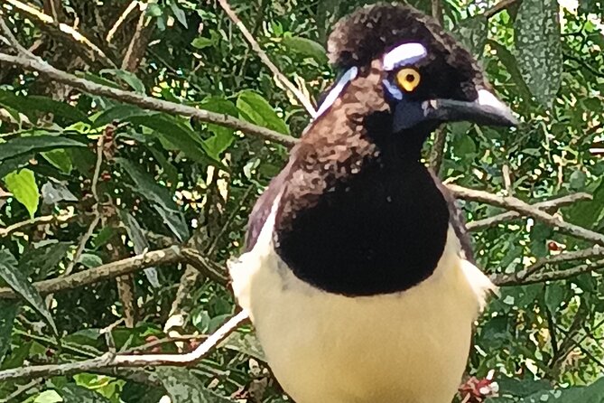 PRIVATE TOUR in Iguassu Falls on the Argentine side - Comfort, language, and group size