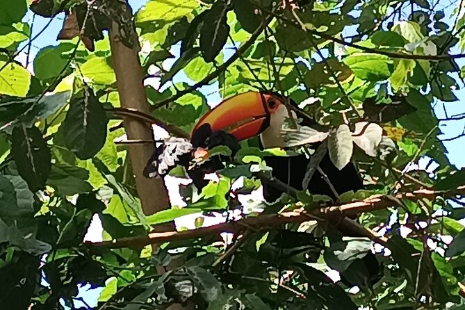 PRIVATE TOUR in Iguassu Falls on the Argentine side - Who will enjoy this tour most