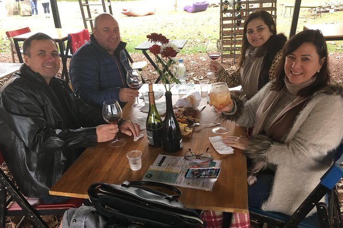 Private Tour in Vale dos Vinhedos in Bento Gonçalves RS - A private car changes the pace