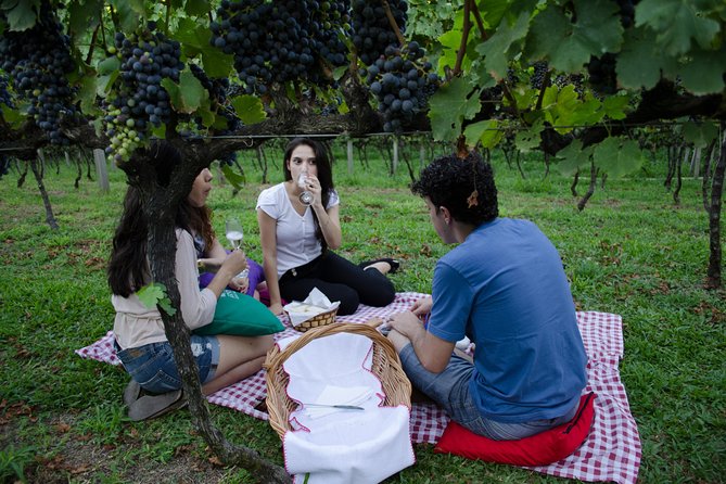Private Tour in Vale dos Vinhedos in Bento Gonçalves RS - How the four-hour route works