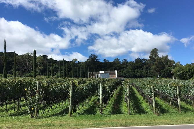 Private Tour of Family Wineries in Bento Gonçalves RS - Key points at a glance