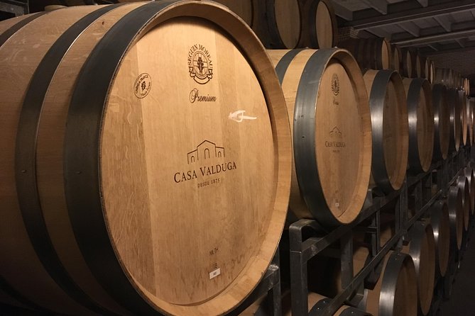 Private Tour of Family Wineries in Bento Gonçalves RS - Why Vale dos Vinhedos suits a private winery day