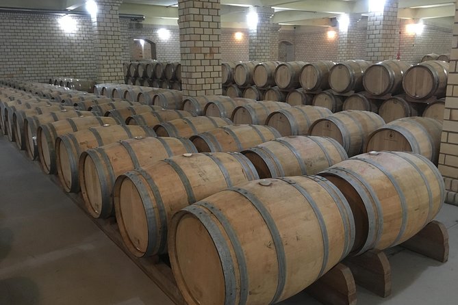 Private Tour of Family Wineries in Bento Gonçalves RS - The private vehicle and group size