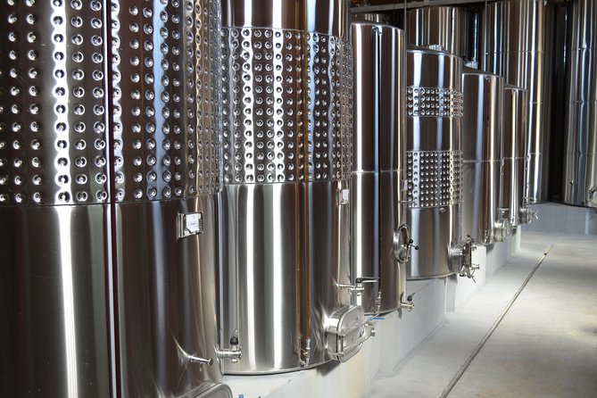 Private Tour of Family Wineries in Bento Gonçalves RS - Meeting Lucenio and setting the pace