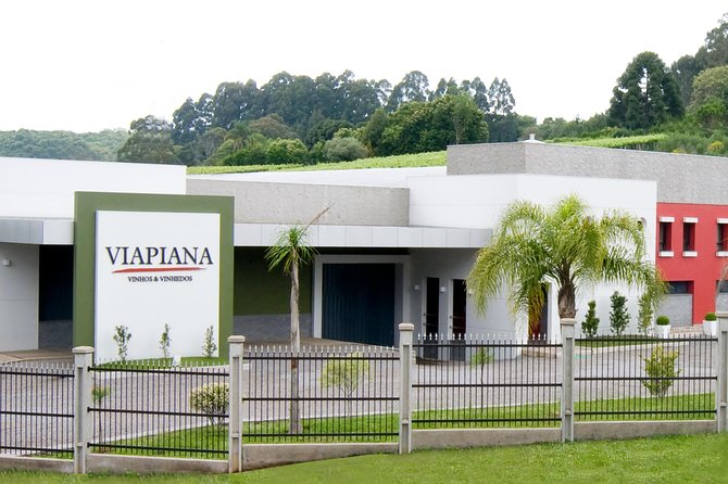 Private Tour of Luiz Argenta and 2 other Flores Cunha wineries - Why Flores da Cunha makes a good wine day