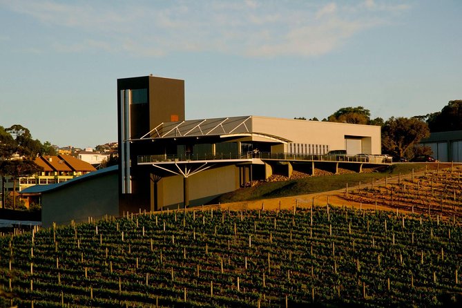 Private Tour of Luiz Argenta and 2 other Flores Cunha wineries - Stops three and four: themed wineries in the city