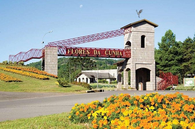 Private Tour of Luiz Argenta and 2 other Flores Cunha wineries - What the six to eight hours really means
