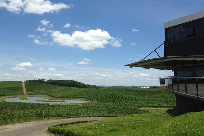 Private Tour of Luiz Argenta and 2 other Flores Cunha wineries - Stop one: the family winery in Nova Pádua