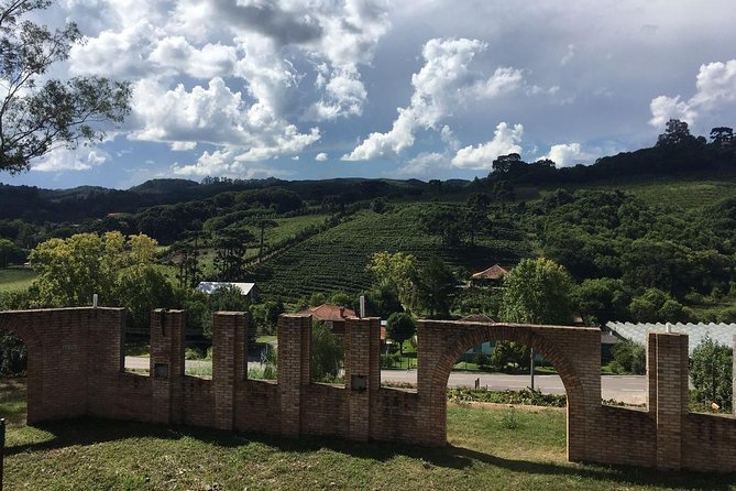 Private tour on Caminhos de Pedra in Bento Gonçalves RS - Why the four-hour and eight-hour choices matter