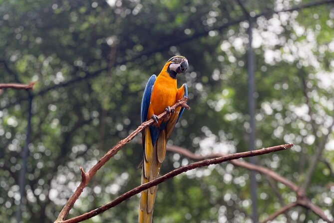 Private tour to Argentine and Brazilian Falls - What Julio adds to the experience