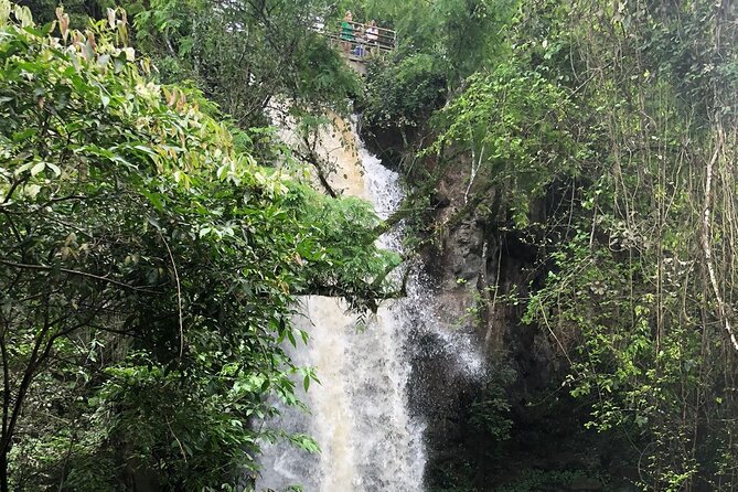 Private tour to Iguacu Falls/ Brazil and Argentina - Private transport is the main value