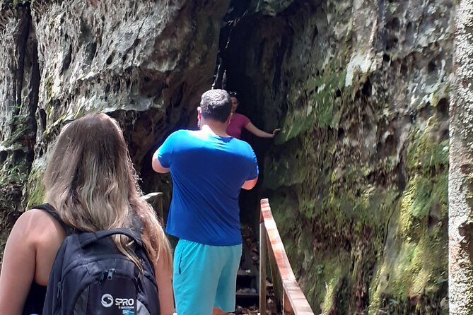 Private Tour Waterfalls Iracema & Asframa President Figueiredo - Should You Book the Iracema and Asframa Waterfall Tour?