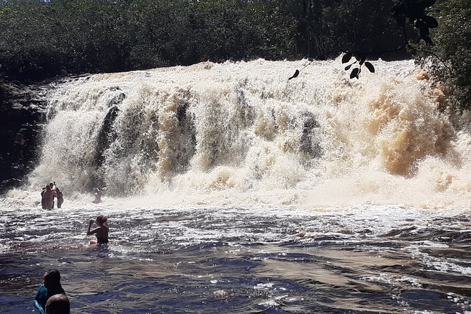 Private Tour Waterfalls Iracema & Asframa President Figueiredo - Urubuí Rapids and a Tambaqui Lunch