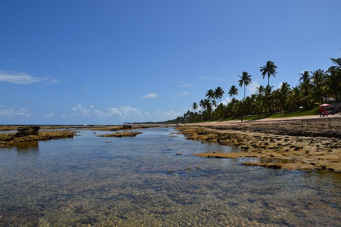 Private Transfer from Porto de Galinhas to Recife Airport - What the 50-minute ride is really buying you
