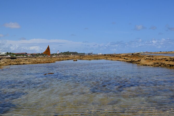 Private Transfer from Porto de Galinhas to Recife Airport - Pickup from your hotel, B&B, or resort