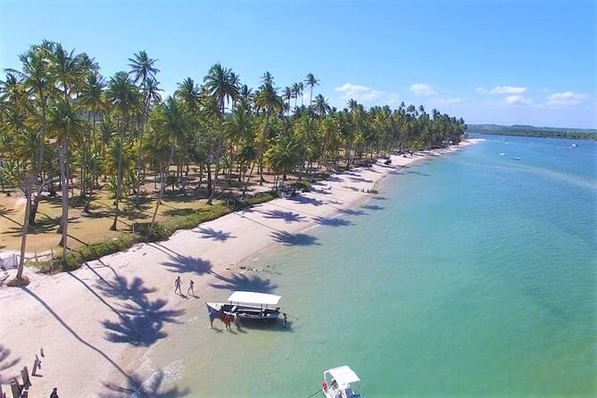 Private Transfer from Recife Airport to Praia dos Carneiros - Key points at a glance