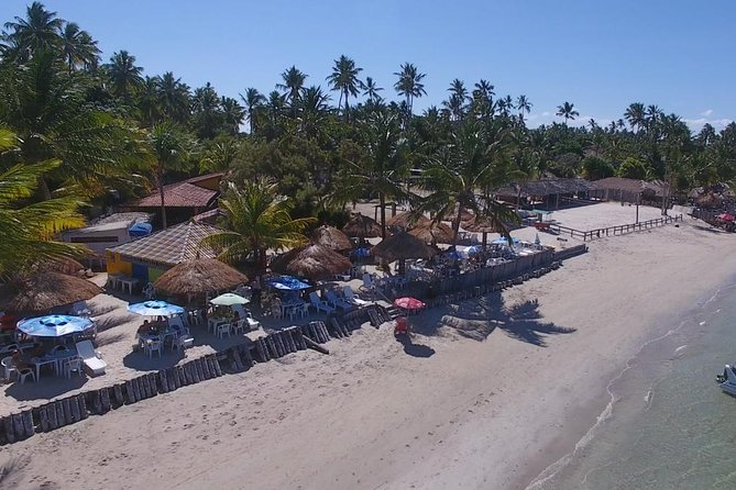 Private Transfer from Recife Airport to Praia dos Carneiros - From Guararapes Airport to the Pernambuco coast