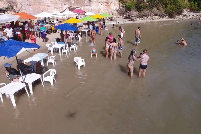 Private Transfer from Recife Airport to Praia dos Carneiros - What the 90-minute ride is, and is not