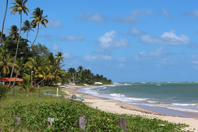 Private Transfer from Recife Airport to Serrambi By RECIFE TRANSLADO - What the vehicle experience may be like
