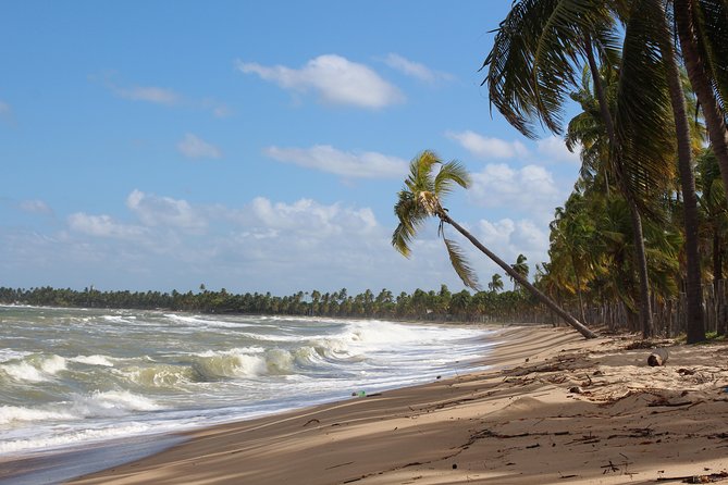 Private Transfer from Recife Airport to Serrambi By RECIFE TRANSLADO - The Boa Viagem stretch of the route