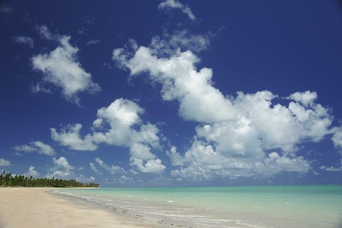 Private Transfer from Recife to Maragogi 01 to 06 Pax by Geotur Receptives - What the private vehicle means for your group