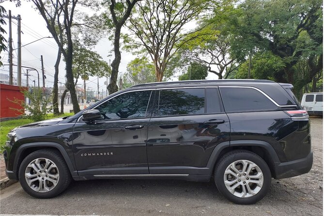 Private Transfer: GRU Airport to Sao Paulo City up to 15 People - Choosing Between Three Vehicle Sizes
