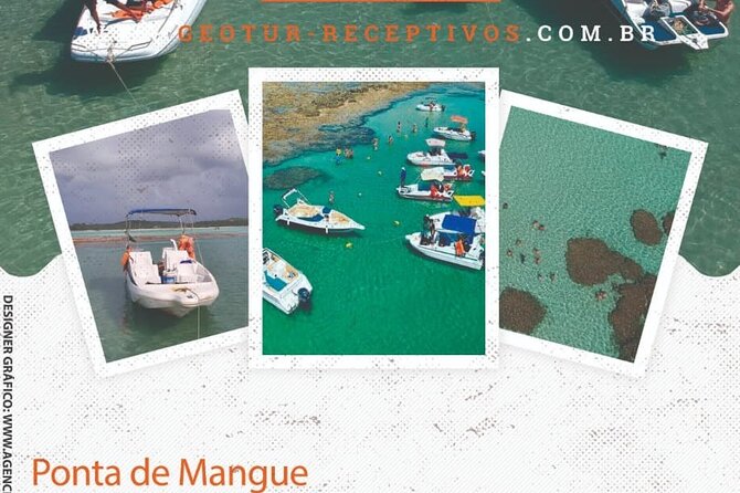 Private Transfer Maragogi to Recife from 01 to 06 Pax by Geo Tur Receptives - Why a private Maragogi to Recife ride makes sense