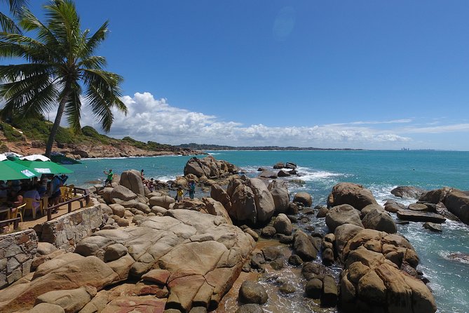Private Transfer Recife Airport to Cabo de Santo Agostinho By RECIFE TRANSLADO - Who will get the most from this transfer