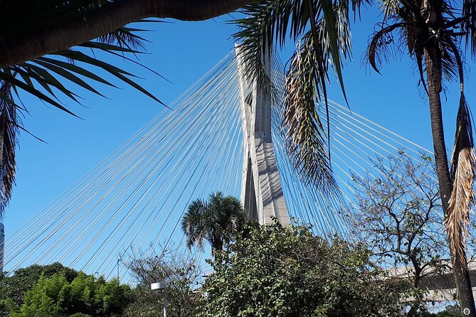 Private Transfer São Paulo Airport to Hotels with Quick City Tour - Optional sightseeing before your hotel