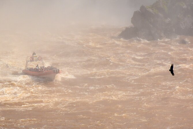 Private transport with guide to the Falls on the Argentinean side. - What the private guide adds