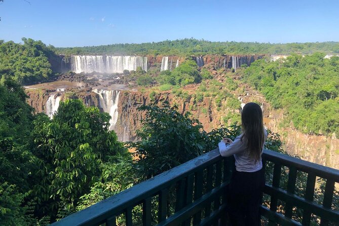 Private Transportation to Brazilian Waterfalls and Bird Park - What Cris adds to the day