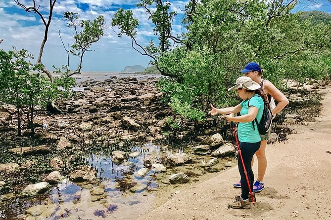Private walk through Mangue de Pedras and Ponta do Pai Vitório - The steep climb to the Pai Vitório viewpoint