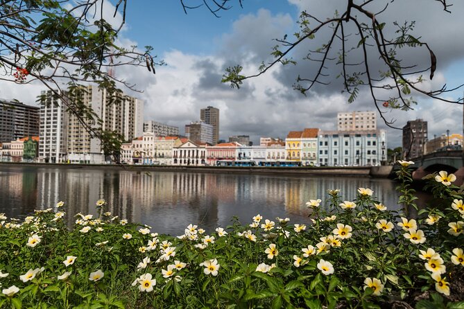 Recife Airport Shared Transfer - Key points to know before booking