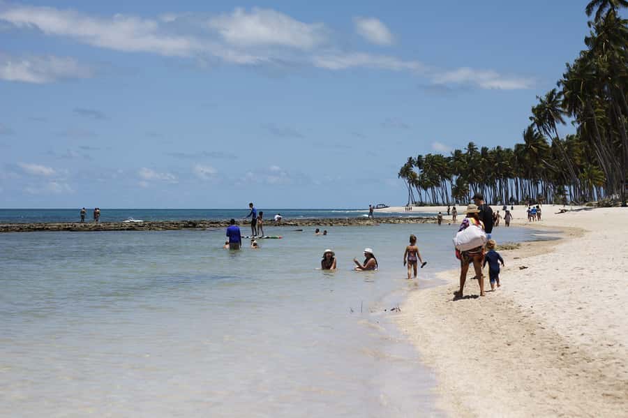 Recife: Carneiros Beach Day Tour - Key points to know before booking