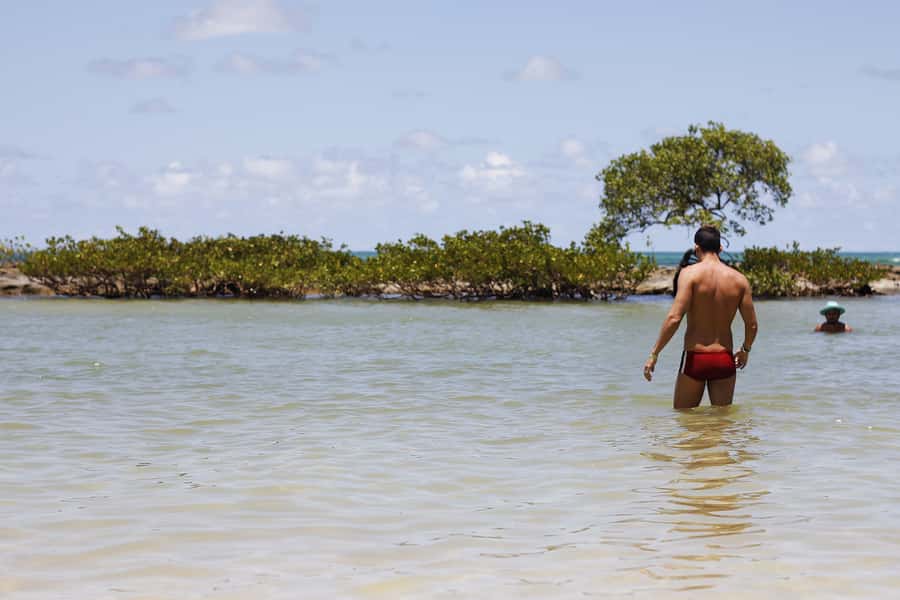 Recife: Carneiros Beach Day Tour - The 90-kilometer ride from Recife