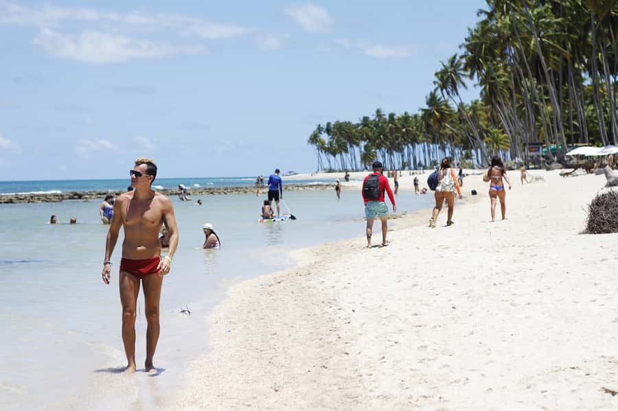 Recife: Carneiros Beach Day Tour - White sand, coconut palms, and calm water