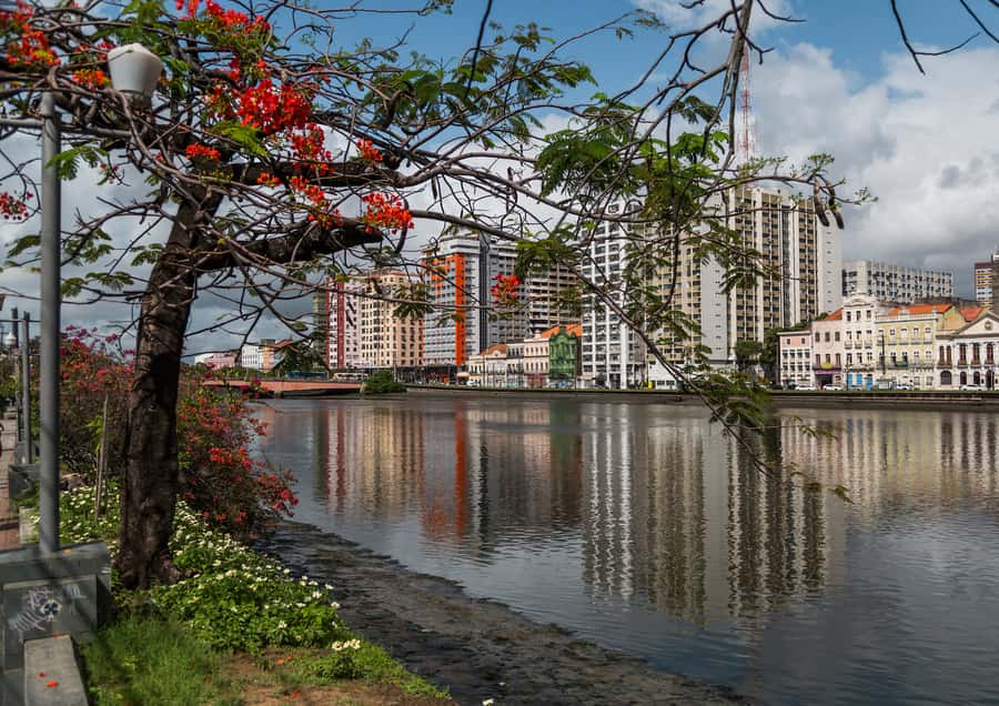 Recife: City Tour Recife & Olinda - The guide can transform the experience
