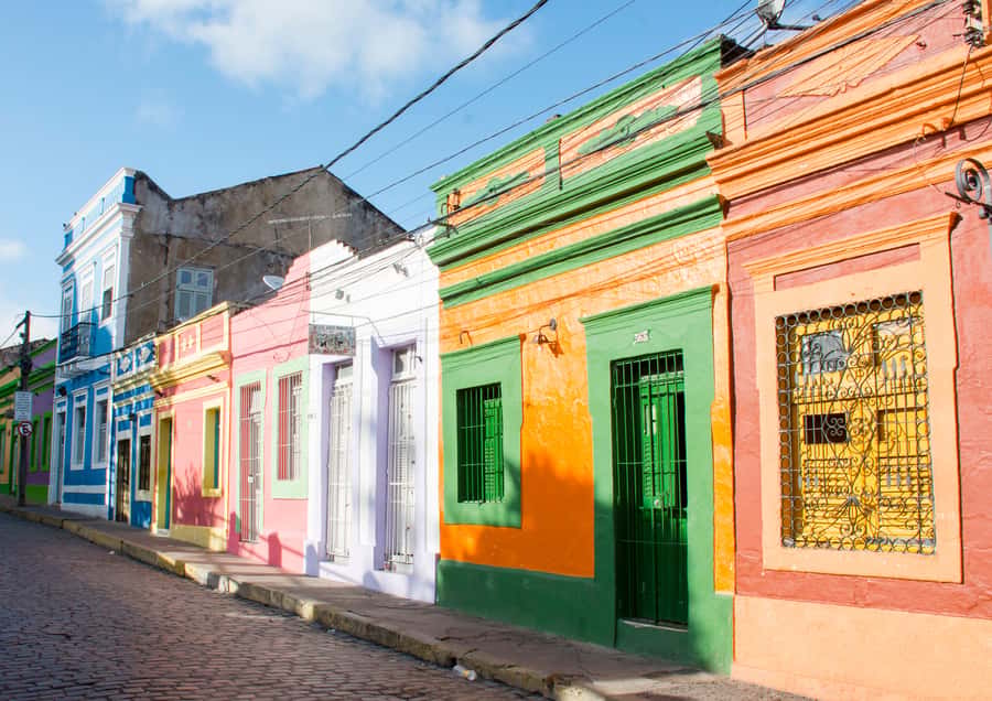 Recife: City Tour Recife & Olinda - Language and communication details