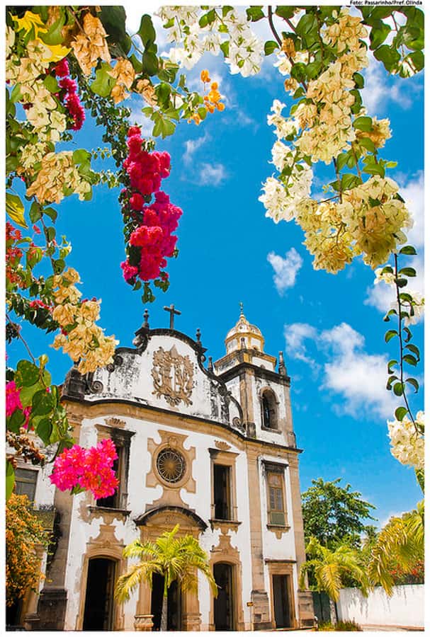 Recife & Olinda City Tour: Unveiling the Charm of Two Cities - Santo Antônio brings bridges and grand public buildings