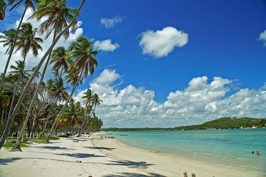 Recife: Tour to Carneiros with Catamaran Ride - Key points to know before booking