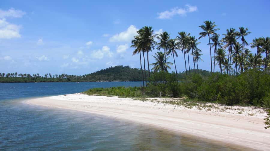 Recife: Tour to Carneiros with Catamaran Ride - Why Carneiros makes a good escape from Recife
