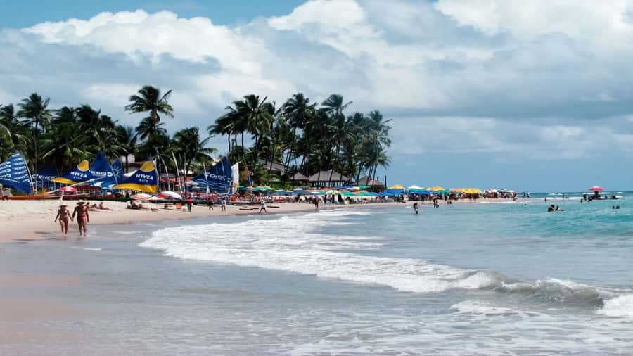 Recife: Tour to Porto de Galinhas - Key Details Before You Go