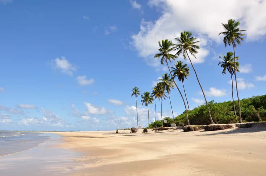 Recife: Tour to Porto de Galinhas - Why Porto de Galinhas Works as a Day Trip