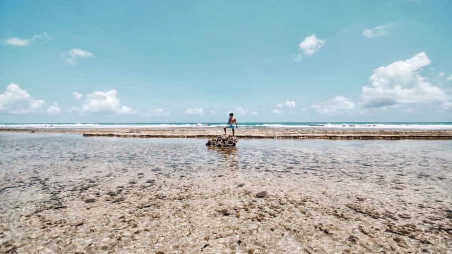 Recife: Tour to Porto de Galinhas - Four Hours Around Porto de Galinhas