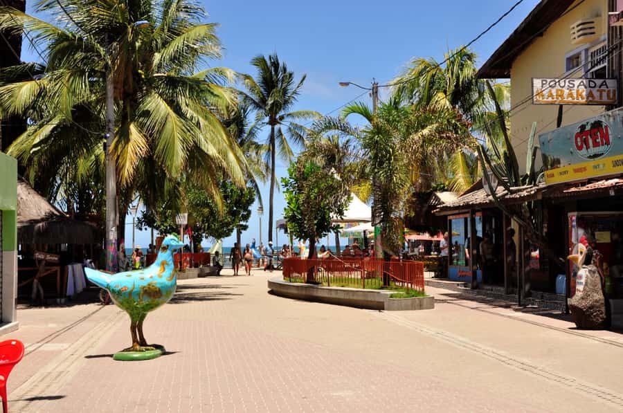 Recife: Tour to Porto de Galinhas - Local Food, Drinks, and Souvenir Shopping
