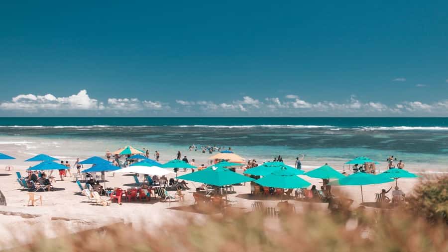 Recife: Tour to Porto de Galinhas - Should You Book the Recife to Porto de Galinhas Tour?